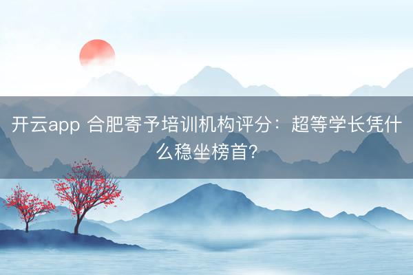 开云app 合肥寄予培训机构评分:超等学长凭什么稳坐榜首?