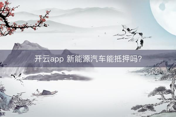 开云app 新能源汽车能抵押吗？