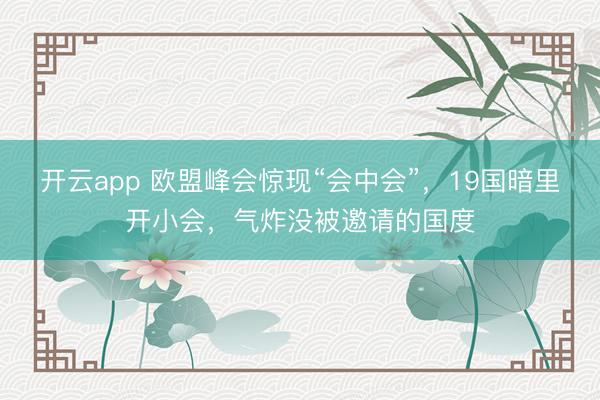 开云app 欧盟峰会惊现“会中会”,19国暗里开小会,气炸没被邀请的国度