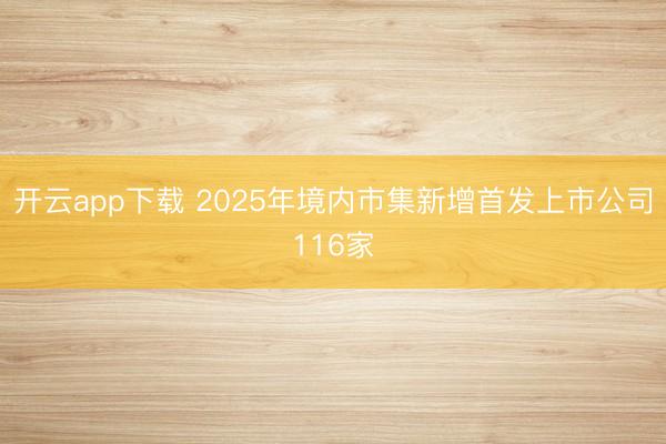 开云app下载 2025年境内市集新增首发上市公司116家