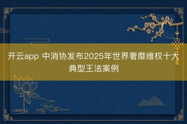 开云app 中消协发布2025年世界奢靡维权十大典型王法案例