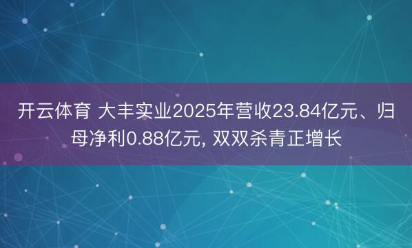 开云体育 大丰实业2025年营收23.84亿元、归母净利0.88亿元， 双双杀青正增长