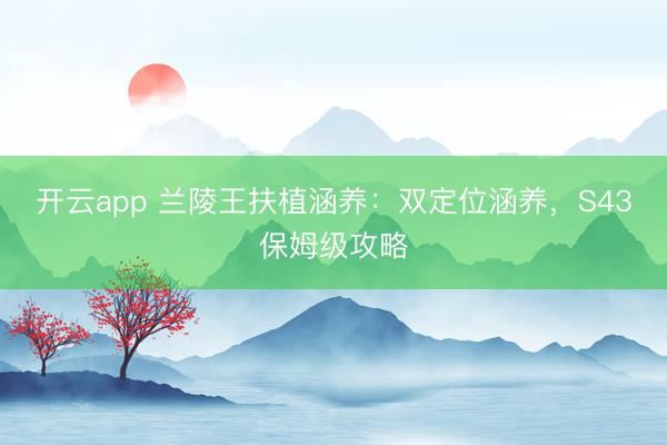 开云app 兰陵王扶植涵养：双定位涵养，S43保姆级攻略