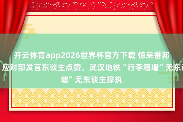 开云体育app2026世界杯官方下载 惊呆番邦东谈主，应对部发言东谈主点赞，武汉地铁“行李箱墙”无东谈主撑执