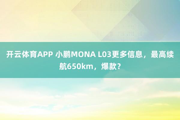 开云体育APP 小鹏MONA L03更多信息，最高续航650km，爆款？
