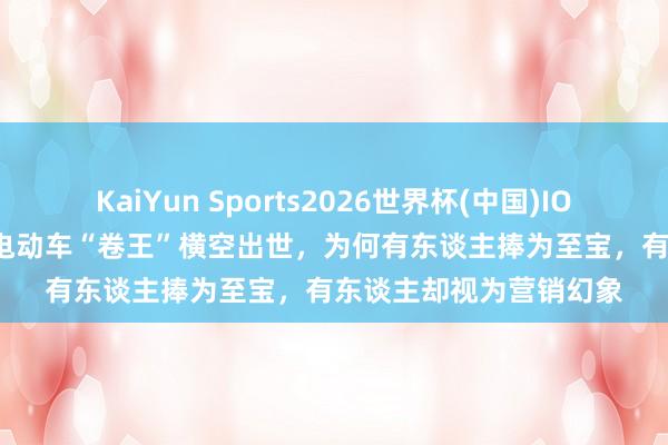 KaiYun Sports2026世界杯(中国)IOS/安卓官方下载 10万电动车“卷王”横空出世，为何有东谈主捧为至宝，有东谈主却视为营销幻象