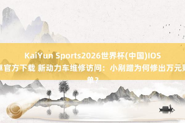 KaiYun Sports2026世界杯(中国)IOS/安卓官方下载 新动力车维修访问：小剐蹭为何修出万元账单？
