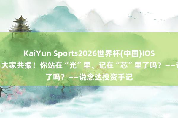 KaiYun Sports2026世界杯(中国)IOS/安卓官方下载 大家共振！你站在“光”里、记在“芯”里了吗？——说念达投资手记
