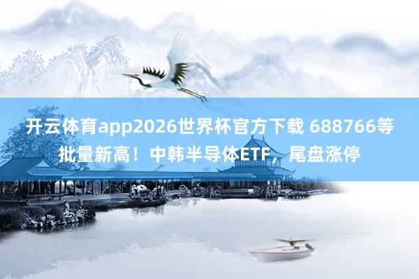 开云体育app2026世界杯官方下载 688766等批量新高！中韩半导体ETF，尾盘涨停