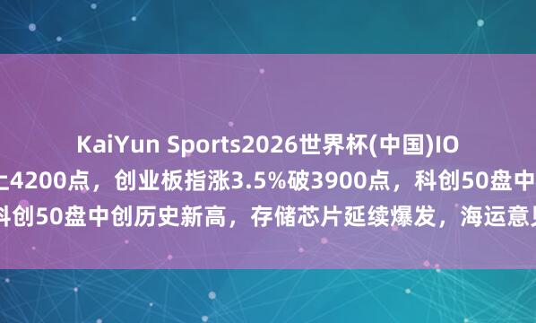 KaiYun Sports2026世界杯(中国)IOS/安卓官方下载 沪指站上4200点，创业板指涨3.5%破3900点，科创50盘中创历史新高，存储芯片延续爆发，海运意见调整丨A股收盘