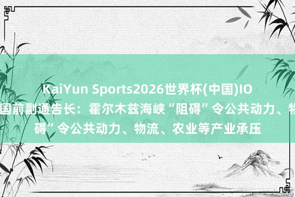 KaiYun Sports2026世界杯(中国)IOS/安卓官方下载 麇集国前副通告长：霍尔木兹海峡“阻碍”令公共动力、物流、农业等产业承压
