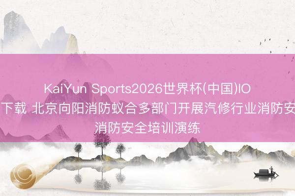 KaiYun Sports2026世界杯(中国)IOS/安卓官方下载 北京向阳消防蚁合多部门开展汽修行业消防安全培训演练