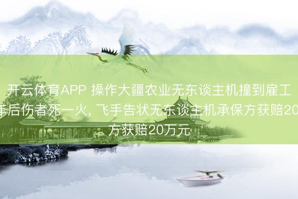 开云体育APP 操作大疆农业无东谈主机撞到雇工, 一年后伤者死一火, 飞手告状无东谈主机承保方获赔20万元