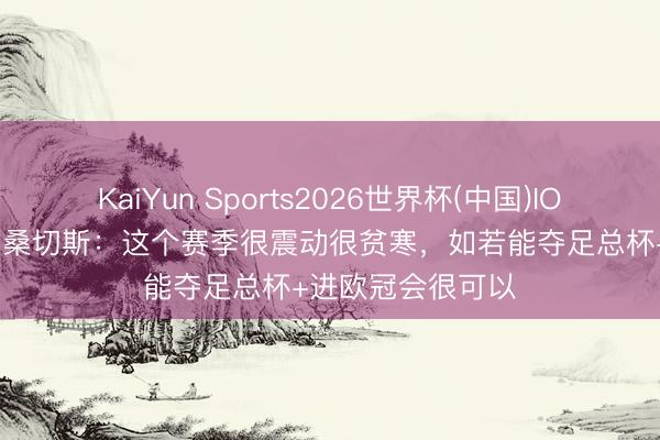 KaiYun Sports2026世界杯(中国)IOS/安卓官方下载 桑切斯：这个赛季很震动很贫寒，如若能夺足总杯+进欧冠会很可以