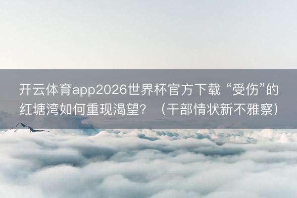 开云体育app2026世界杯官方下载 “受伤”的红塘湾如何重现渴望？（干部情状新不雅察）