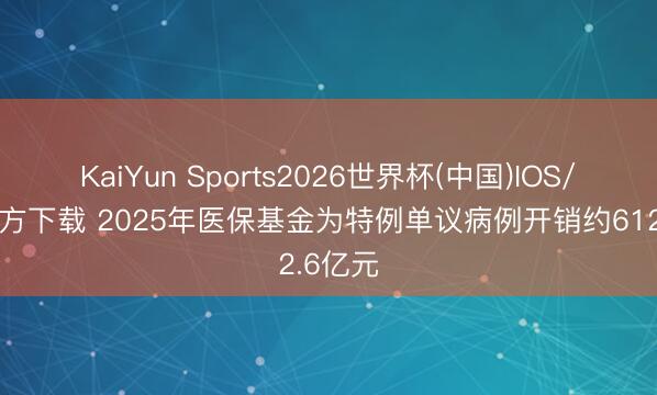 KaiYun Sports2026世界杯(中国)IOS/安卓官方下载 2025年医保基金为特例单议病例开销约612.6亿元