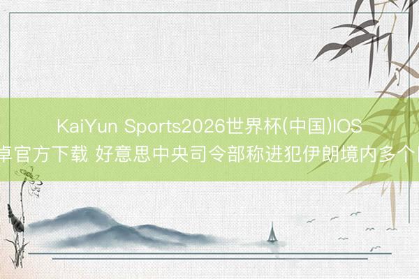 KaiYun Sports2026世界杯(中国)IOS/安卓官方下载 好意思中央司令部称进犯伊朗境内多个目标