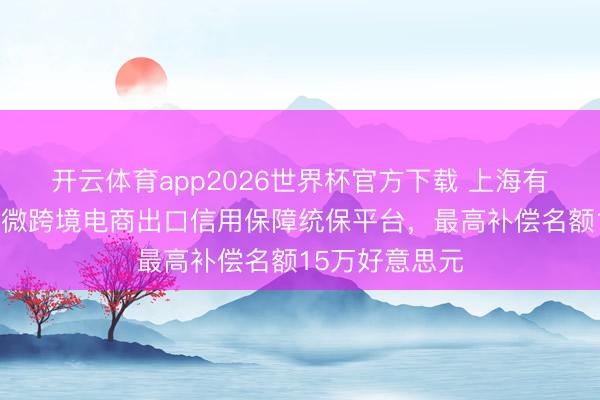 开云体育app2026世界杯官方下载 上海有了世界首个小微跨境电商出口信用保障统保平台，最高补偿名额15万好意思元