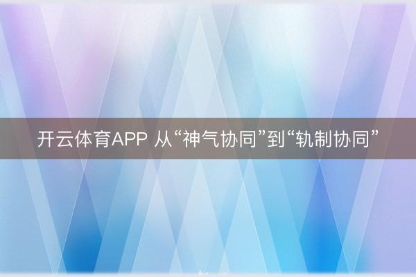 开云体育APP 从“神气协同”到“轨制协同”