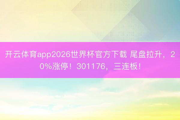 开云体育app2026世界杯官方下载 尾盘拉升,20%涨停!301176,三连板!