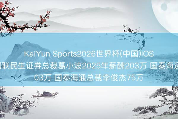 KaiYun Sports2026世界杯(中国)IOS/安卓官方下载 国联民生证券总裁葛小波2025年薪酬203万 国泰海通总裁李俊杰75万