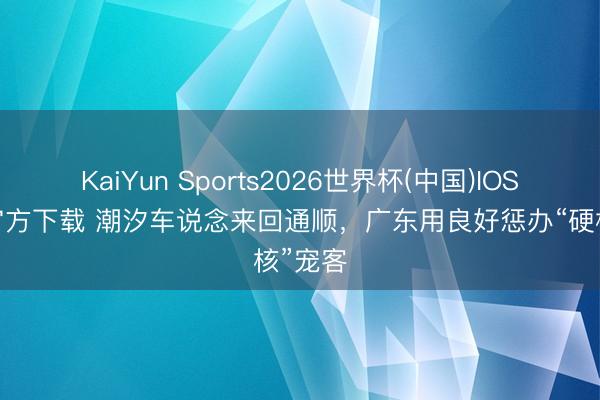 KaiYun Sports2026世界杯(中国)IOS/安卓官方下载 潮汐车说念来回通顺，广东用良好惩办“硬核”宠客