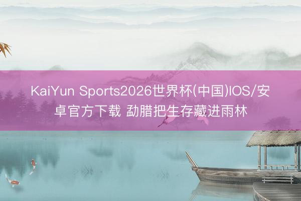 KaiYun Sports2026世界杯(中国)IOS/安卓官方下载 勐腊把生存藏进雨林