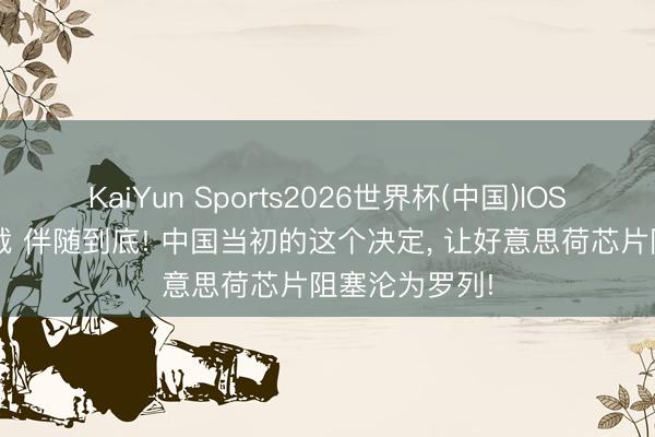 KaiYun Sports2026世界杯(中国)IOS/安卓官方下载 伴随到底! 中国当初的这个决定， 让好意思荷芯片阻塞沦为罗列!