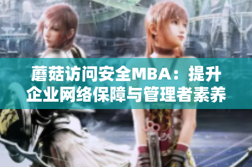 蘑菇访问安全MBA：提升企业网络保障与管理者素养